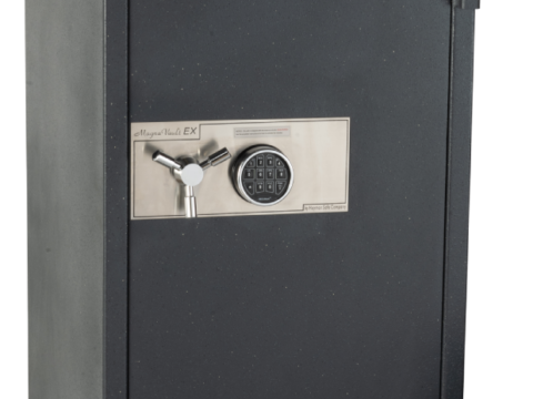 Hayman MVEX 4020 E — Premium Fire + Burglary